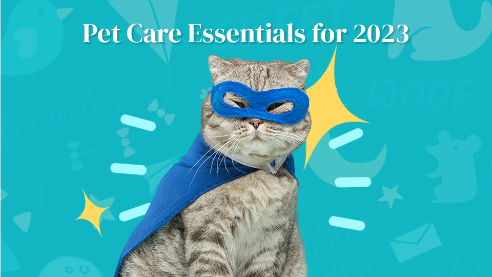 Pet Care Essentials for 2023 in Dubai Al Hayat Veterinary Clinic